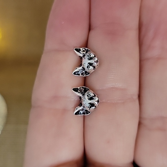 Sphynx Devon Rex Cat Earrings, unisex - Picture 1 of 6